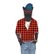 Panther Man Dressed Up In Plaid Shirt Beanie Hat And Jeans. Anthropomorphic Urban Fashion Wild Cat Animal Illustration. City Hipster Black Leopard.
