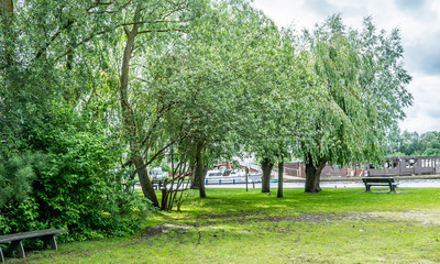 Standing in the public park in Wroxham