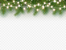 Border With Green Fir Branches And Lights Isolated On Transparent Background. Pine, Xmas Evergreen Plants Banner. Vector Christmas Tree And Garland Decoration.