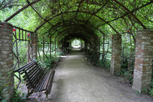 Wild Grape Tunnel With Wooden Benches For Relaxing And Walking In A Public Park