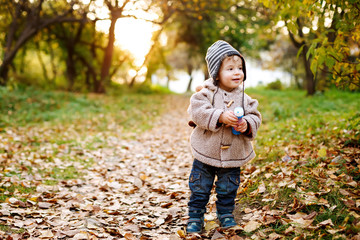 Cute little toddler standing in the fall leaves