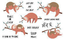Lazy Sloth Object Set With Branch,sleep,hanging. Illustration For Logo,sticker,postcard,birthday Invitation.Include Not Today,let's Hang Out Wording.Editable Element