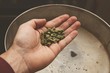 © MATTHEW - Brewing craft beer in a kitchen. Home brewing concept image.