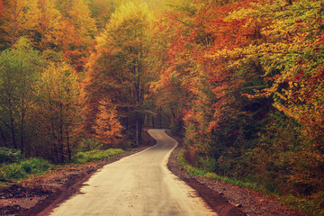 Beautiful autumn landscape