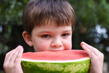 Wall Mural - Happy boy eating healthy watermelon in garden. Child with a big slice of watermelon