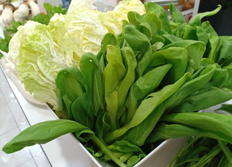 Wall Mural - Cantonese and Chinese cabbage for suki hot pot