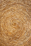 Fototapeta Desenie - Close up view of hay roll. Abstract background
