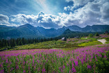 Fototapeta Natura - Hala Gąsienicowa - Tatry, Polska