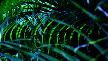 abstract background with lots of light spots