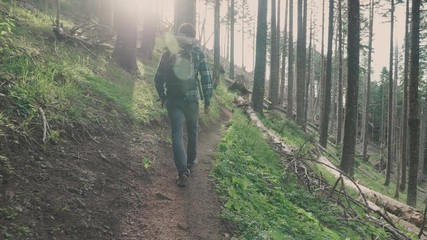white male hiking on trail up peaceful lush high elevation green forest with sun flares tracking sho
