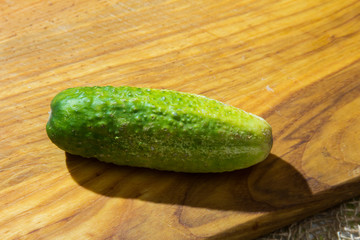 Cucumber