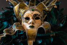 Mardi Gras Mask With Feather Wreath