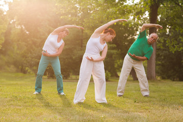 Wall Mural - group of people practice Tai Chi Chuan in a park.  Chinese management skill Qi's energy.