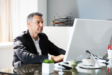 Wall Mural - Business Man Working On Computer