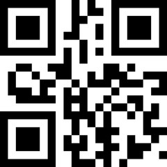 qr code icon information scan 2021