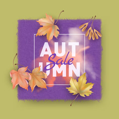 Wall Mural - Autumn background with maple leaves