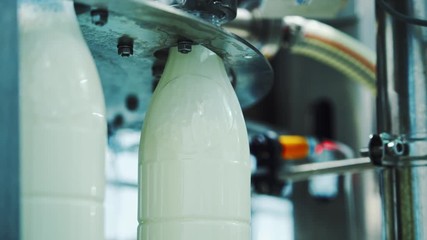 Wall Mural - Milk is pouring into plastic bottles at a modern food factory. Footage of milk bottles at the production line in a milk company. Dairy production close-up.