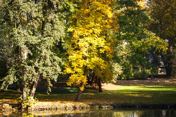 View on trees with colorful leaves and lake in autumnal park