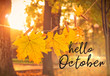 Leinwandbild Motiv Hello october - text on blurred autumn background. garland of yellow maple leaves in park. fall season. shallow depth, soft selective focus.