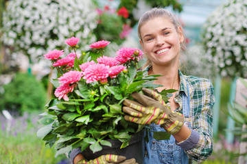 Young woman gardening in greenhouse.She selecting flowers.