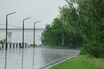 Wall Mural - Empty city embankment under heavy rain on spring day