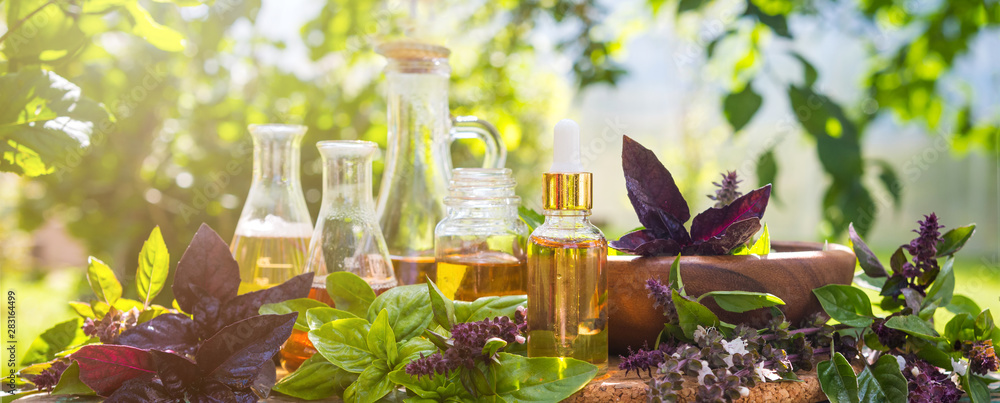 Oil for skin care, massage from natural ingredients, herbs, mint in glass jars and test tubes on a green background in the garden on the nature, natural cosmetics - obrazy, fototapety, plakaty 