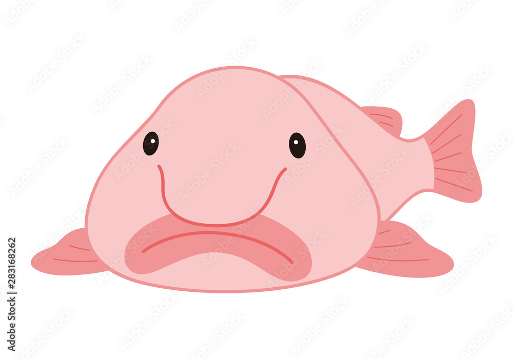 ブロブフィッシュ ニュウドウカジカ 深海魚 キャラクター ベクター