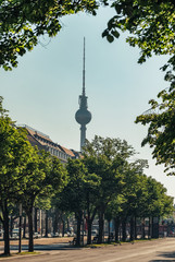 Wall Mural - Berlin TV Tower at summer in Berlin