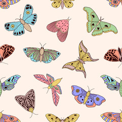 Poster - pattern with butterflies and moths