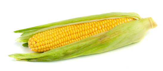 Wall Mural - Corn in the leaves isolated on white background.