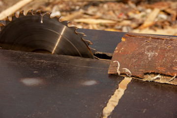 garbage at a sawmill. A circular saw is sawing a wooden piece. tree processing.