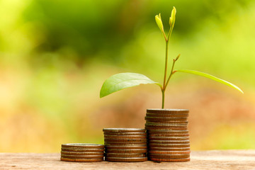 save money for investment concept plant growing out of coins