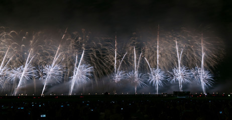 Canvas Print - Fireworks celebration