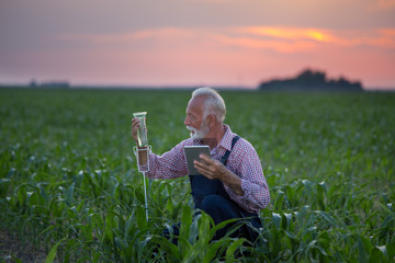 Farmer beside rain gauge in corn field