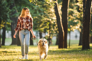 Wall Mural - full length view of girl in casual clothes walking with golden retriever on meadow in sunlight