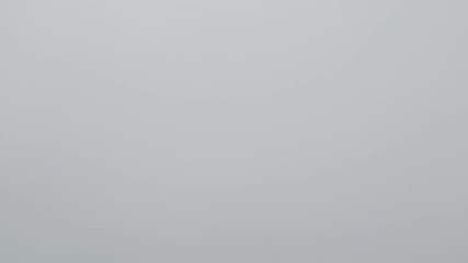 Wall Mural - nature fog background