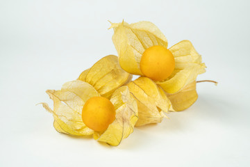 Cape gooseberry (physalis) isolated on white background