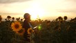 female agronomist is studying flowering of sunflower. farmer girl working with a tablet in a sunflower field in sunset light. businesswoman in field plan their income. farming concept