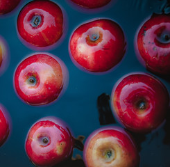 Wall Mural - Red juicy apples in the water in a bucket. Trending dark retro background. Concept, rich harvest. Top view.