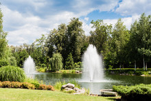 Plants On Green Grass Near Pond With Fountains And Trees