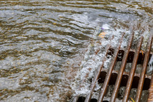 Very Heavy Rainfall The Water Caused By Heavy Rain Drains Into The Sewers Immediately.