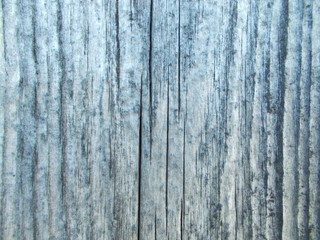  Wood texture for design