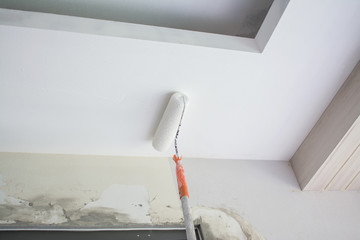 painting a white gypsum plaster ceiling with paint roller