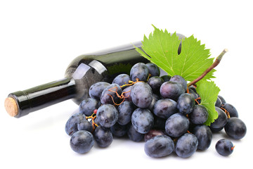 A bottle of wine on a white background