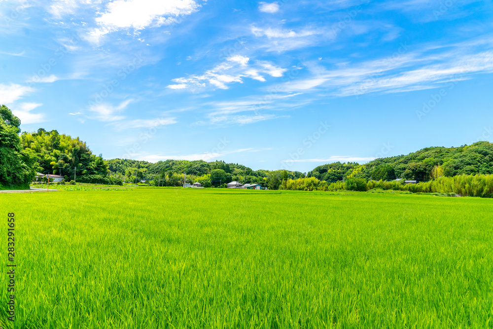 田園風景 の Stock フォト | Adobe Stock