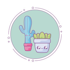 Canvas Print - cactus tropical with plant in frame circular kawaii style