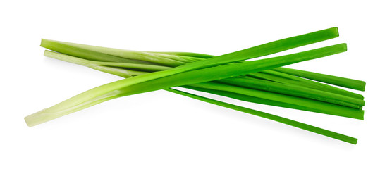 Garlic chives isolaed on white background