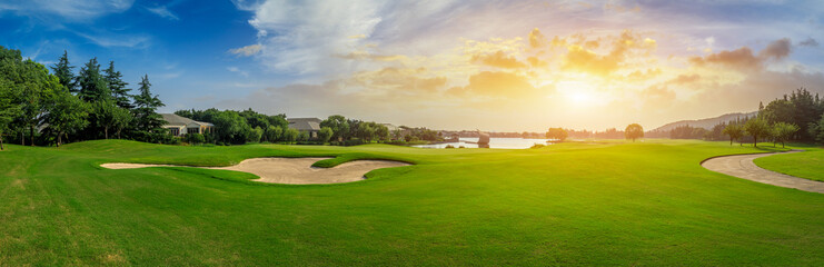 Green grass and woods on a golf field