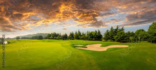 Plakaty Golf zielona-trawa-i-lasy-na-polu-golfowym