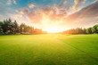 © ABCDstock - Green grass and forest with beautiful clouds at sunset